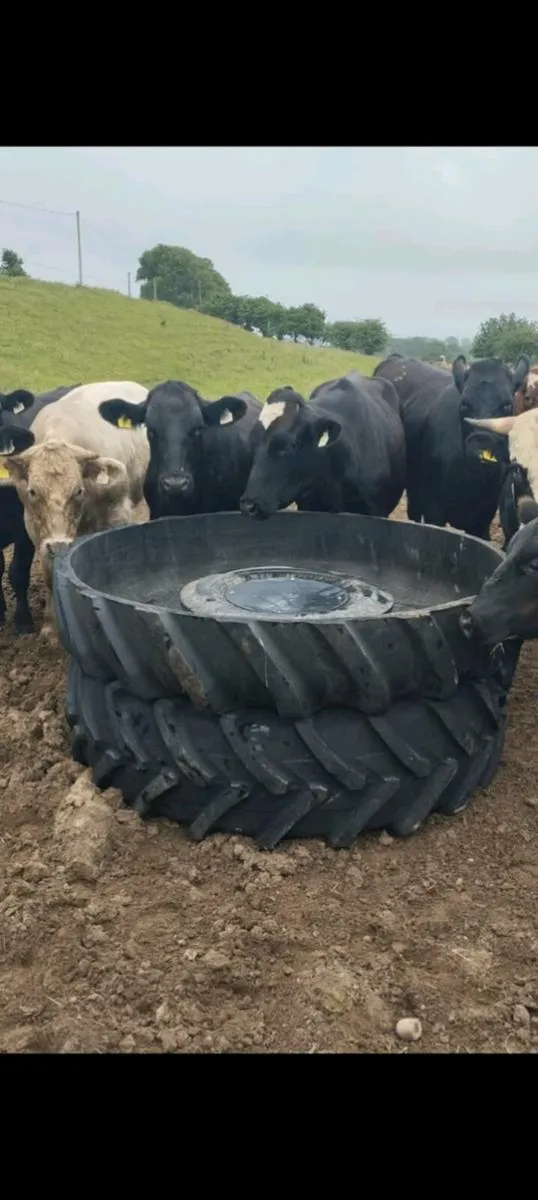 Cattle/ horse / Fully Rubber tyre feeding troughs - Image 1