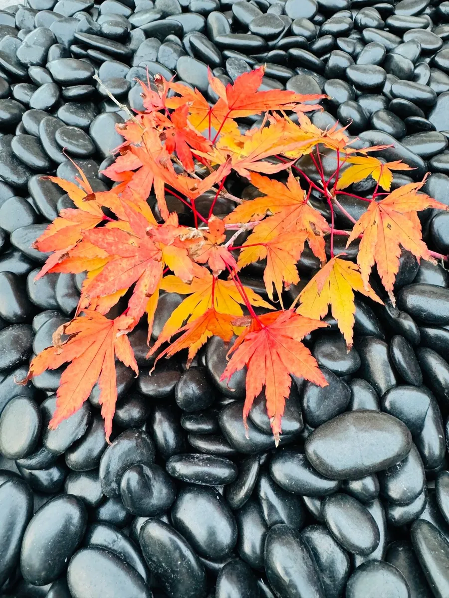 Memorial stone, grave stones polished pebbles - Image 4