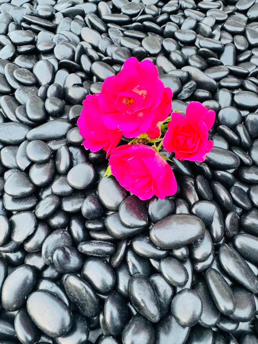 Memorial stone, grave stones polished pebbles - Image 1
