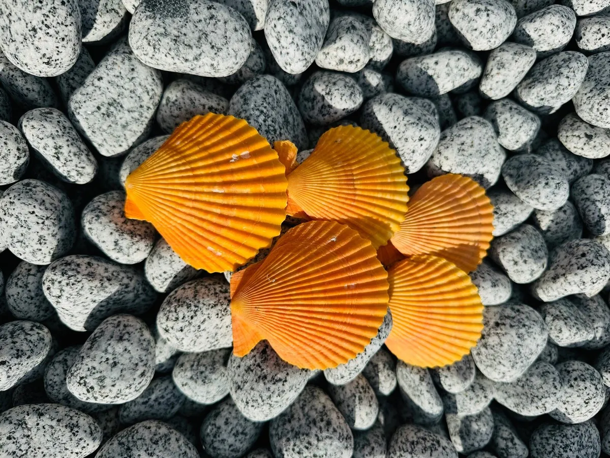 Memorial stone, grave stone, polished pebbles - Image 2