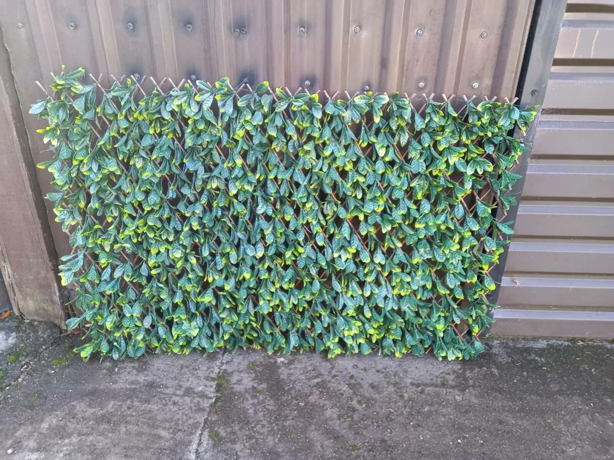 ivy trellises - Image 1