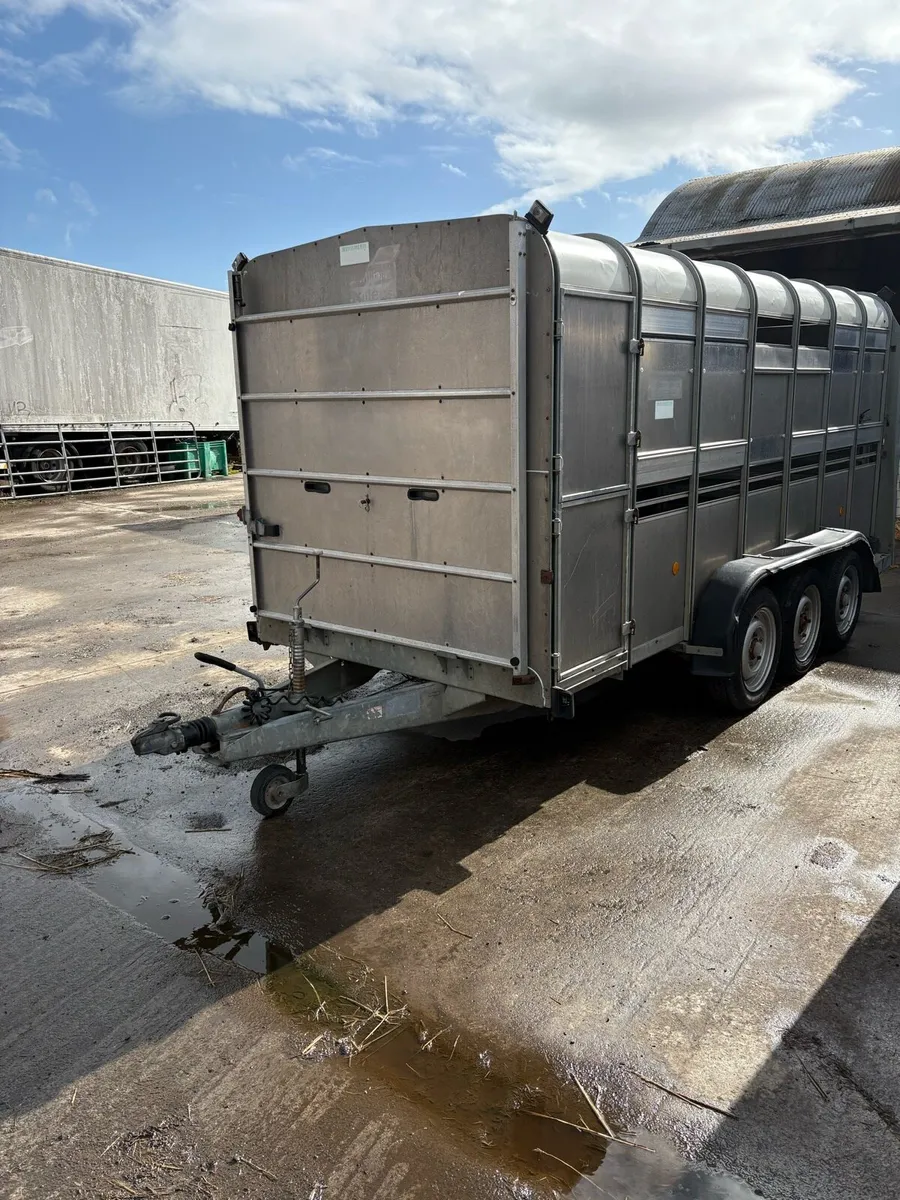 Ifor Williams tri axle  cattle trailer - Image 1