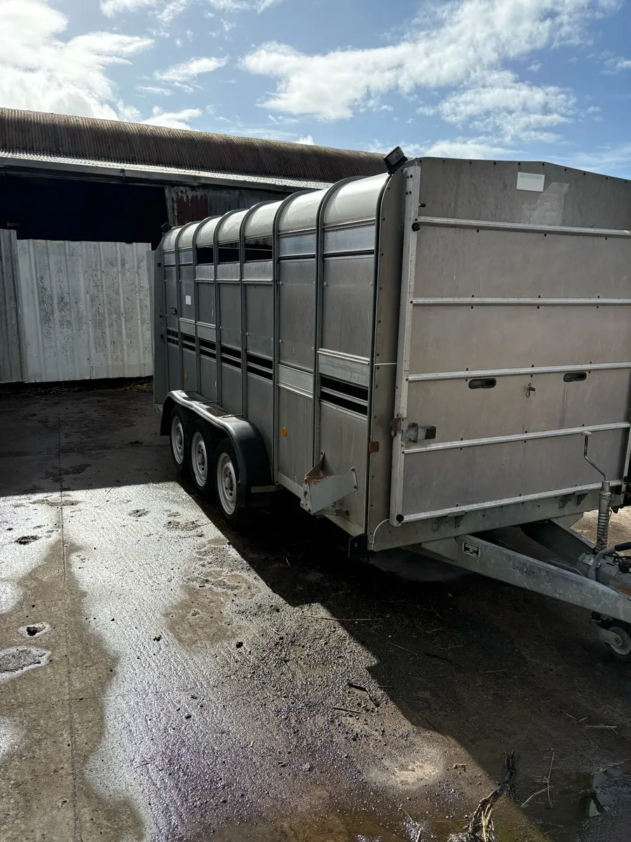 Ifor Williams tri axle  cattle trailer - Image 2