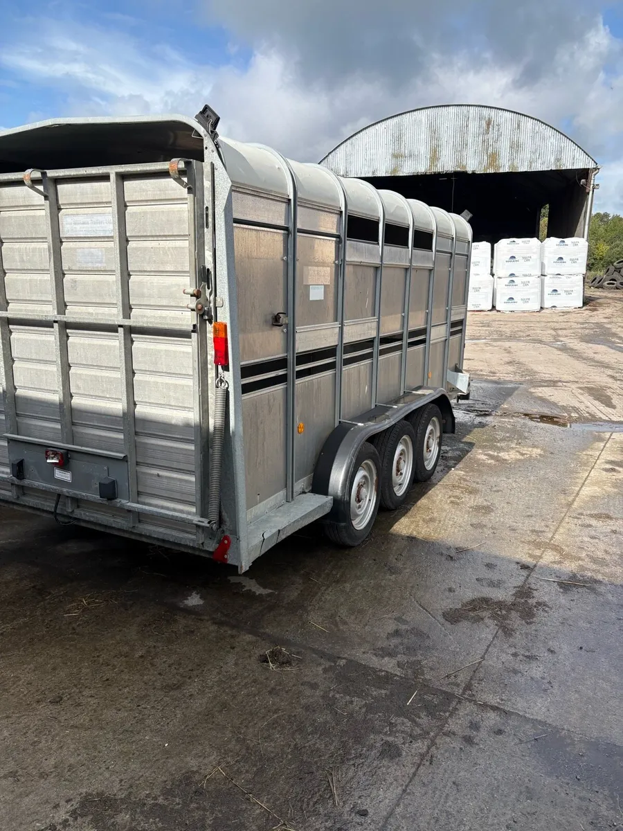 Ifor Williams tri axle  cattle trailer - Image 3