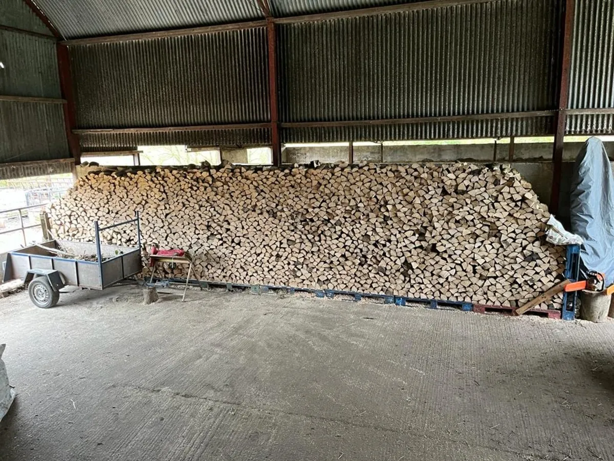 Firewood - Image 2