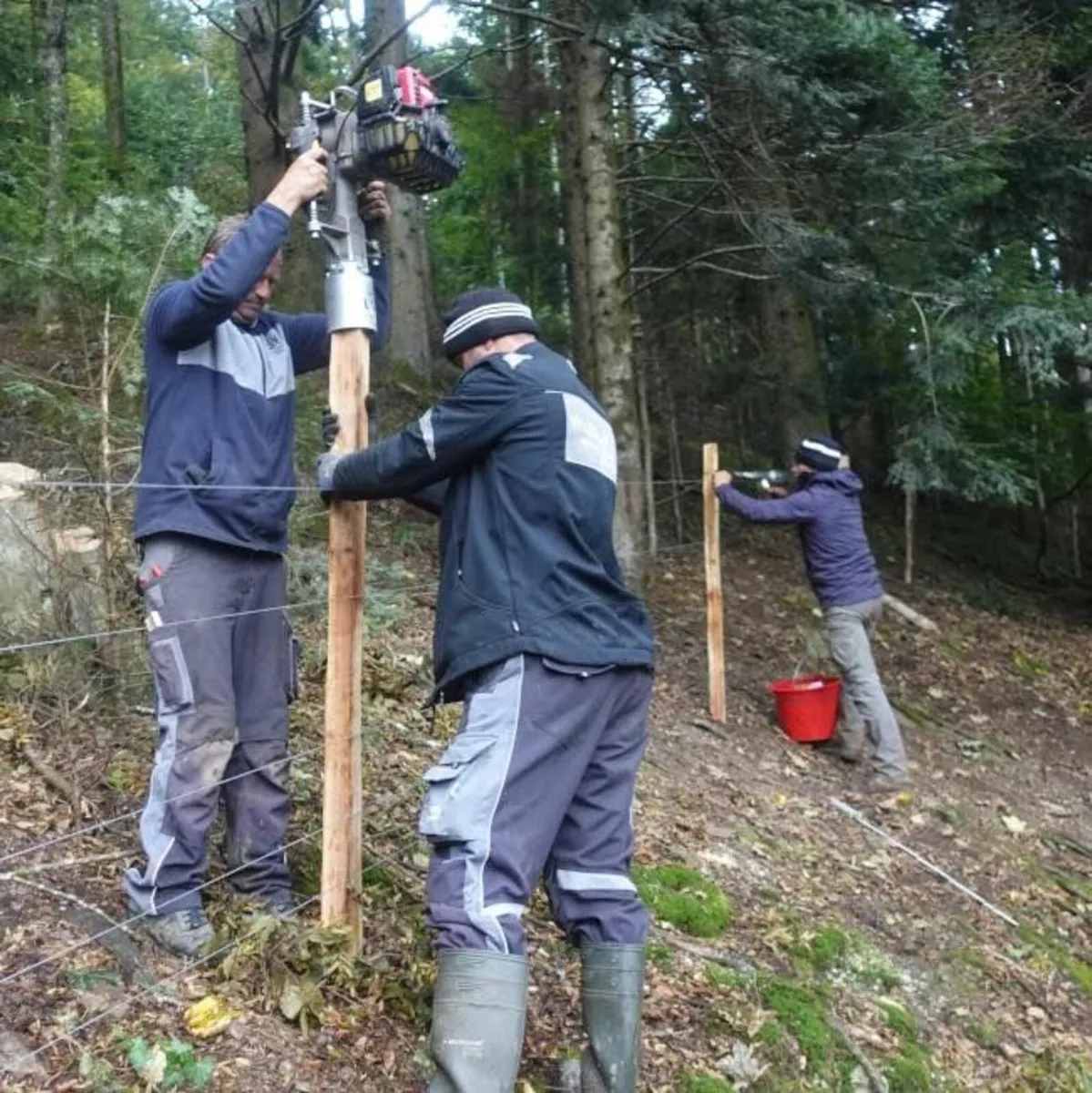 Easy Petrol Post Driver – Classic50 - Image 2