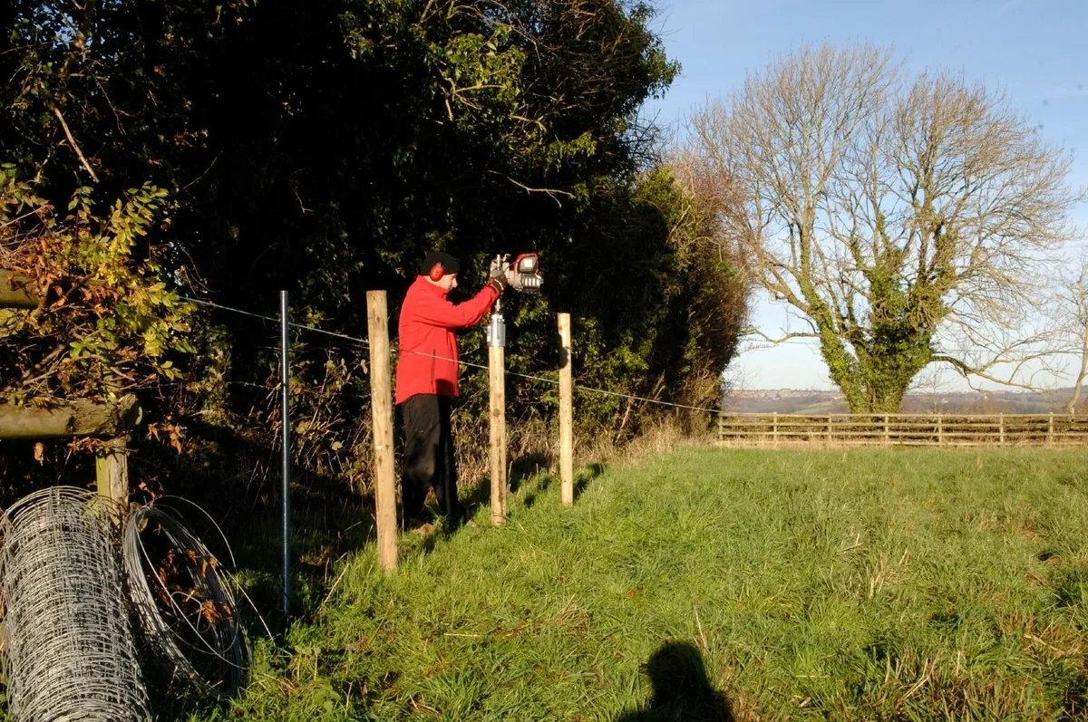 Easy Petrol Post Driver Classic 50 - Image 4