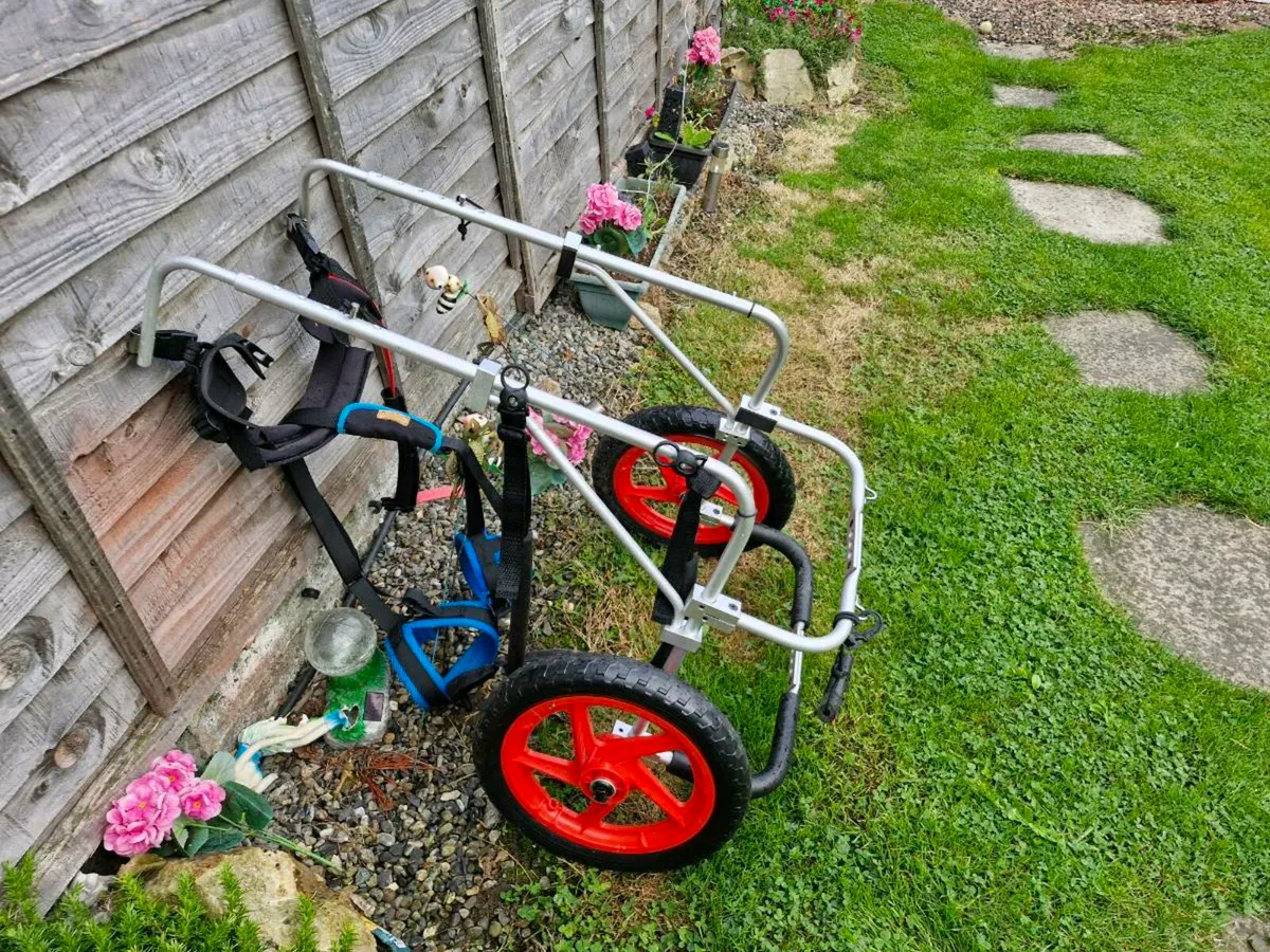 Dog walking aid - Image 1