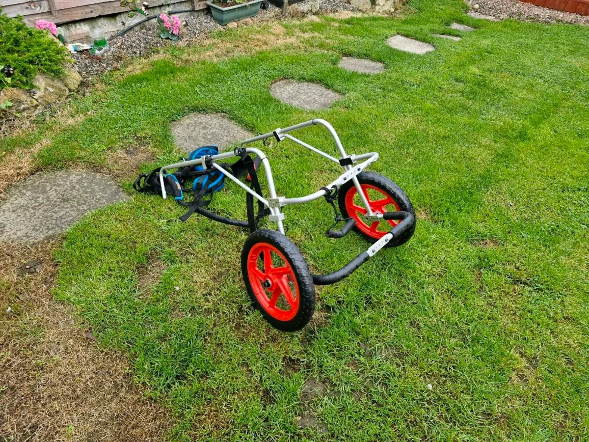 Dog walking aid - Image 2