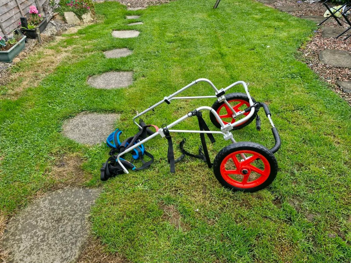 Dog walking aid - Image 3