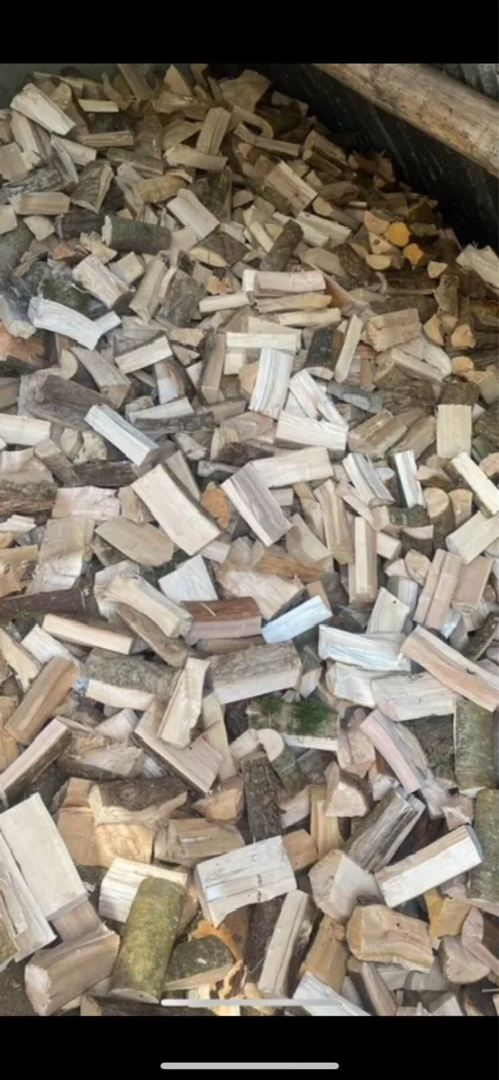 Hardwood timber for sale - Image 4