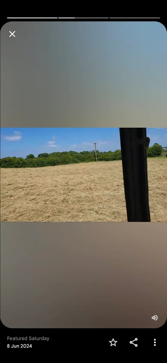Square bales of Hay - Image 4
