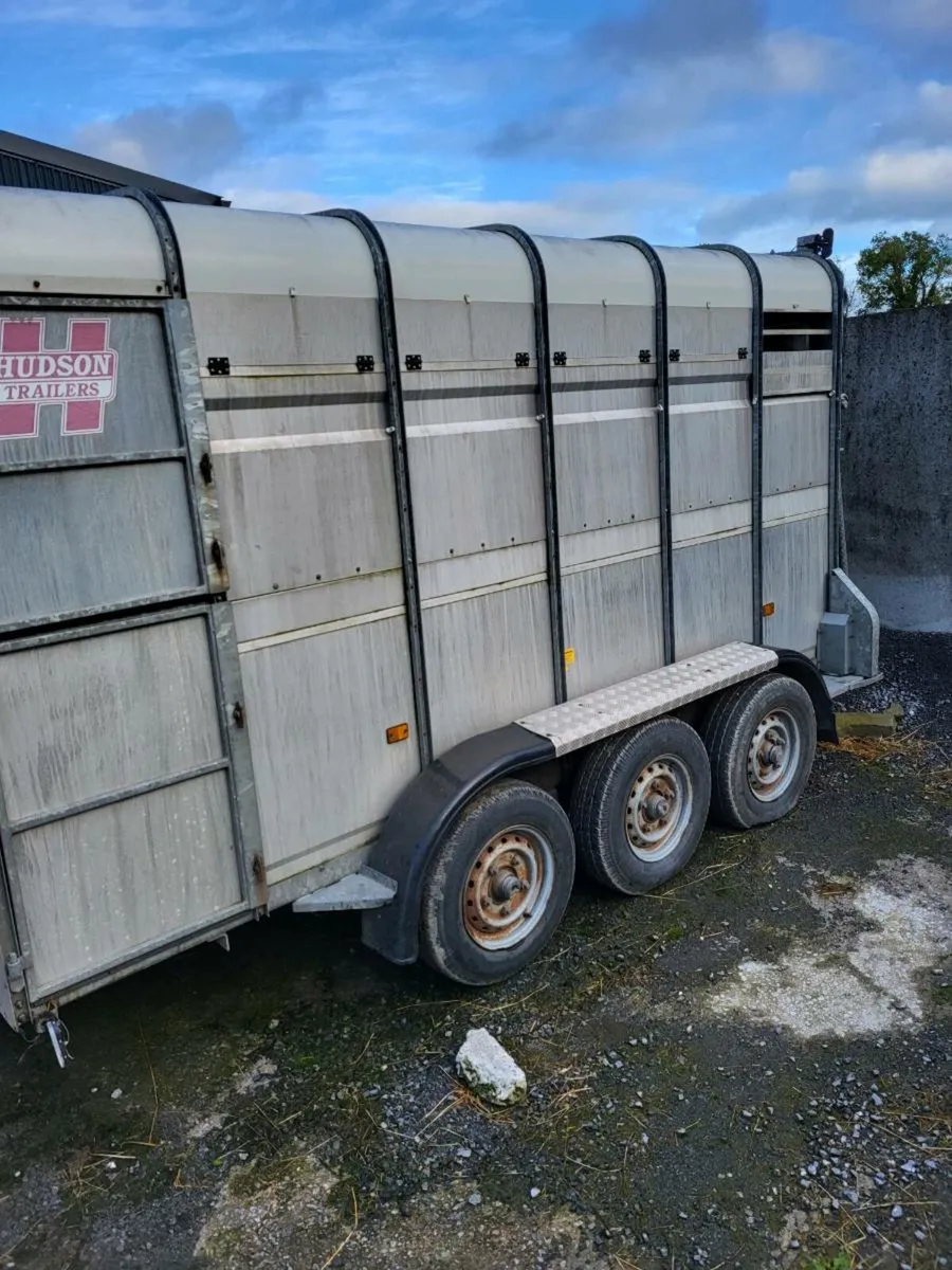 Cattle trailer - Image 4