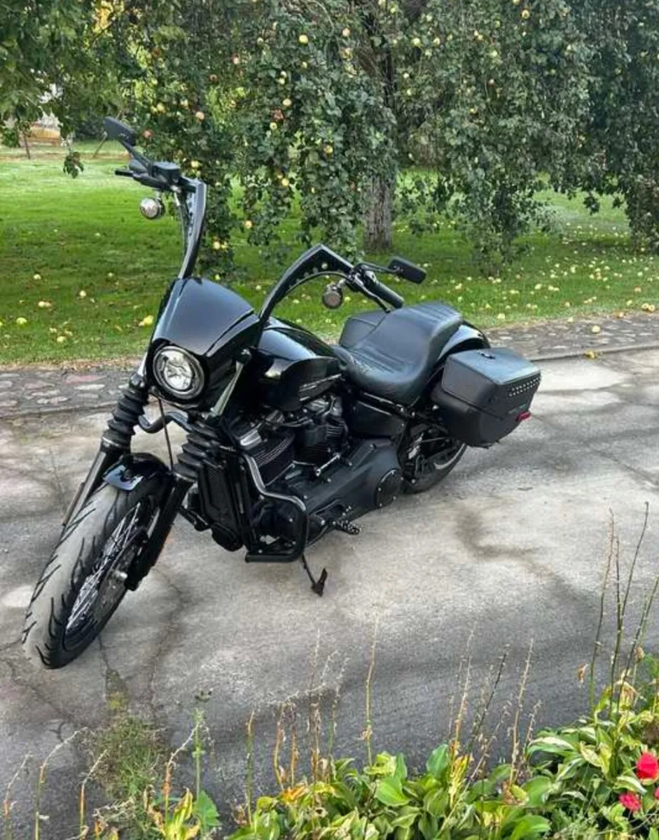 Harley Davidson Fxbb - Image 4