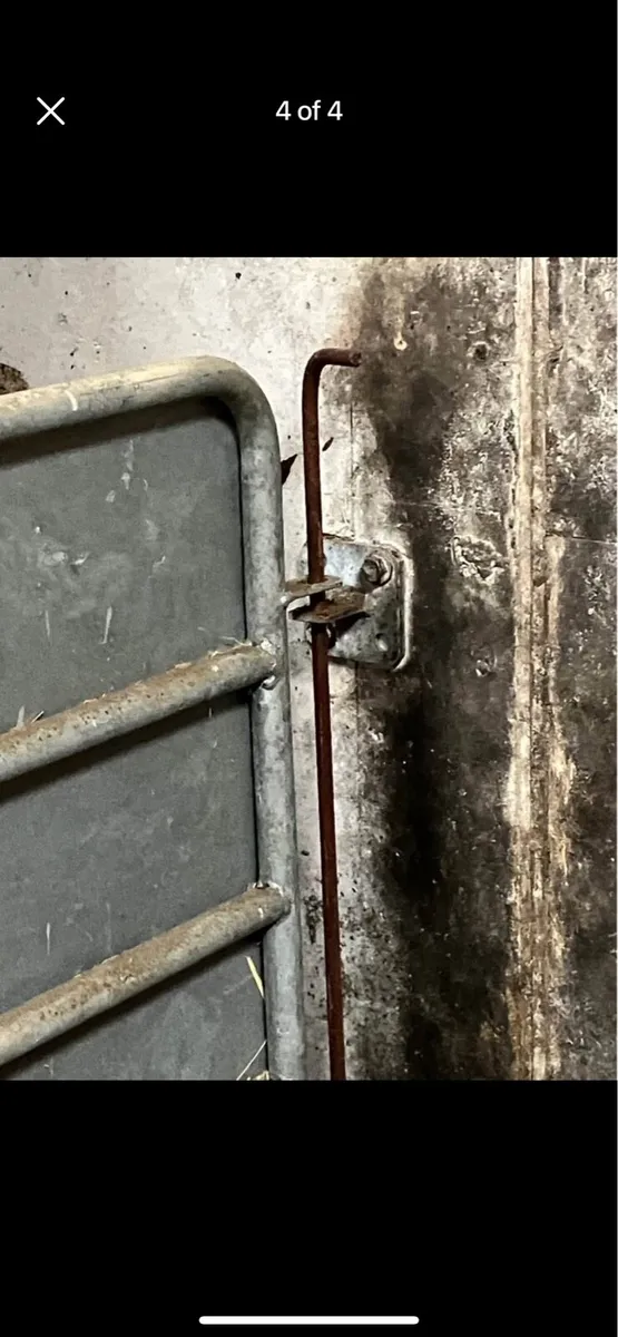 Sheep/Calf Hurdle Wall Brackets - Image 3