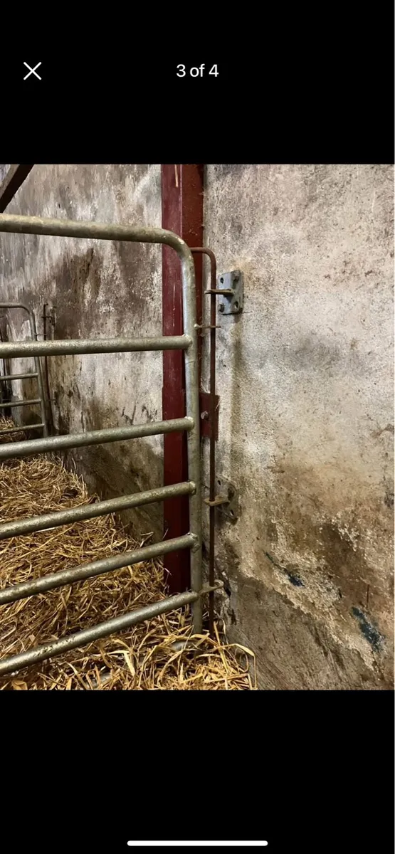 Sheep/Calf Hurdle Wall Brackets - Image 4