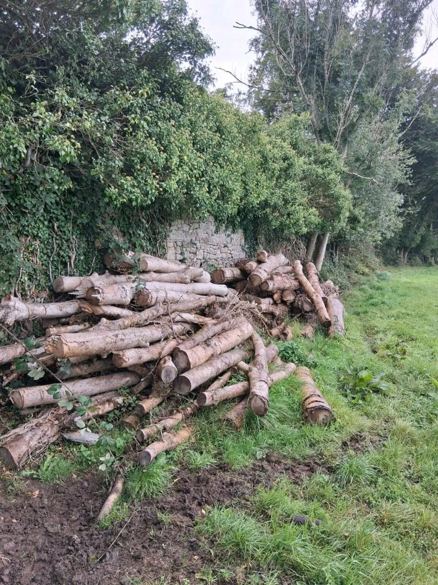 Firewood (Hardwood) - Image 3