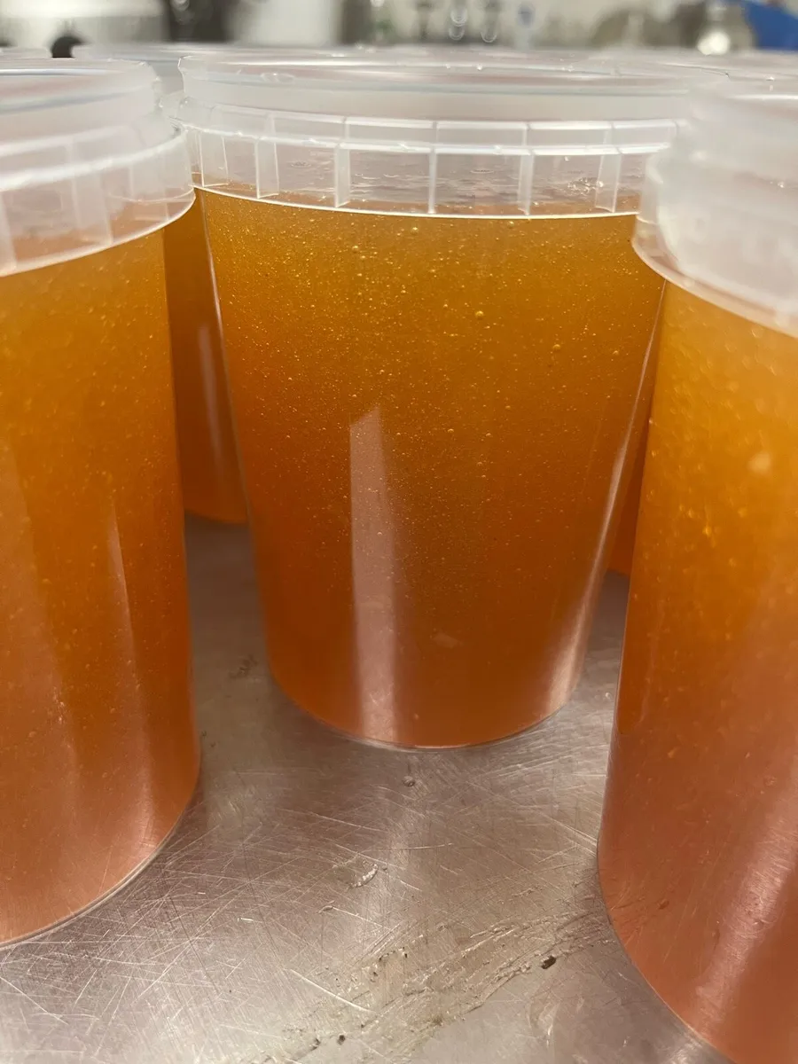 2025 IVY HONEY - Image 3