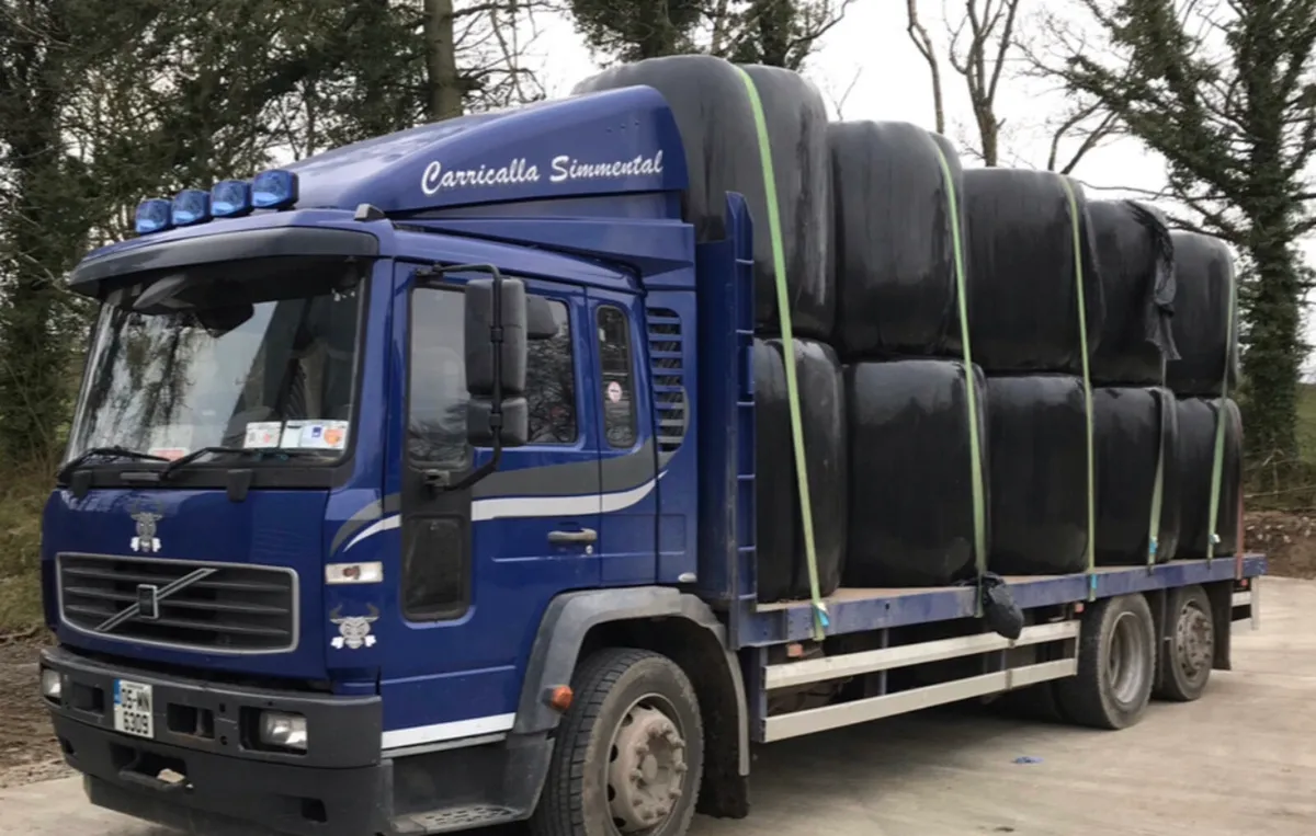 40 Bales of 1st cut silage - Image 2