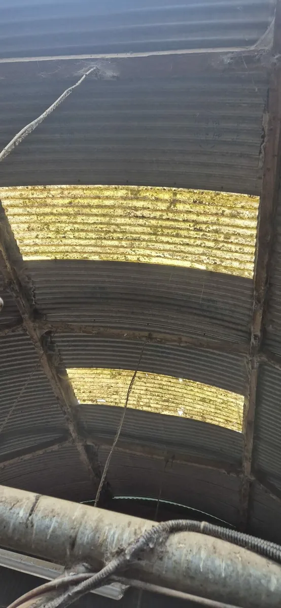 Farm shed repairs - Image 3