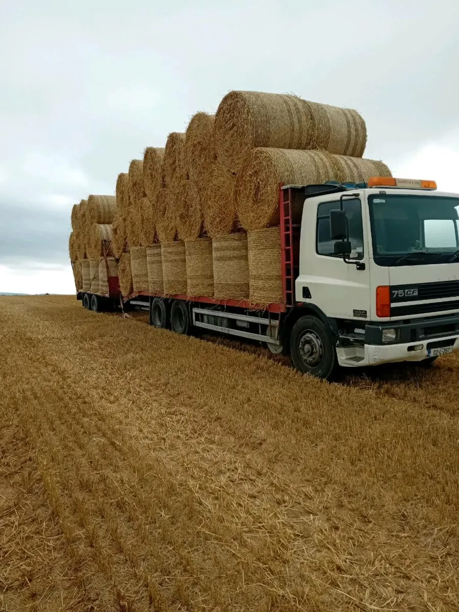 Transport available - Image 4