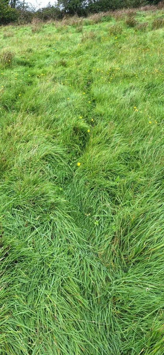 Tidy up land and get paid in the process - Image 2