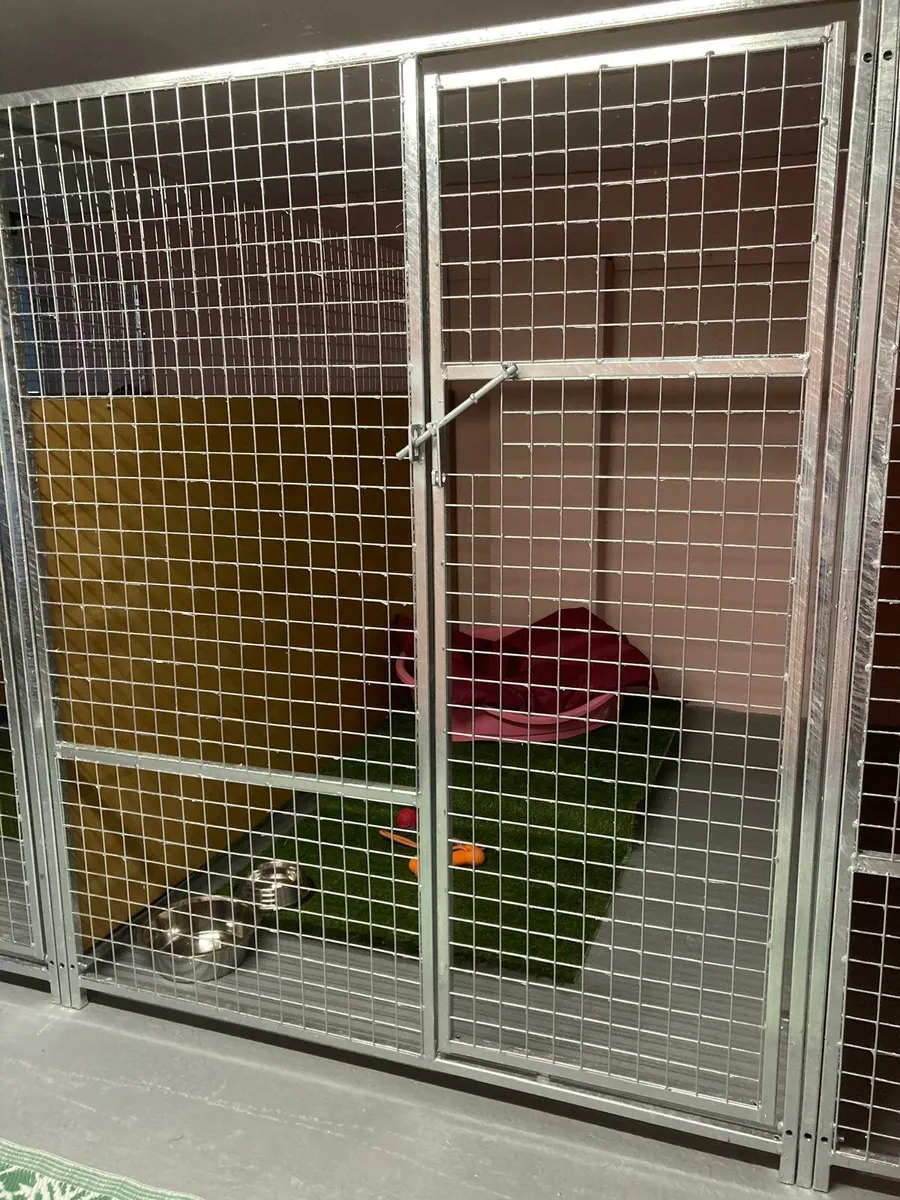 Dog run pen panels - Image 4