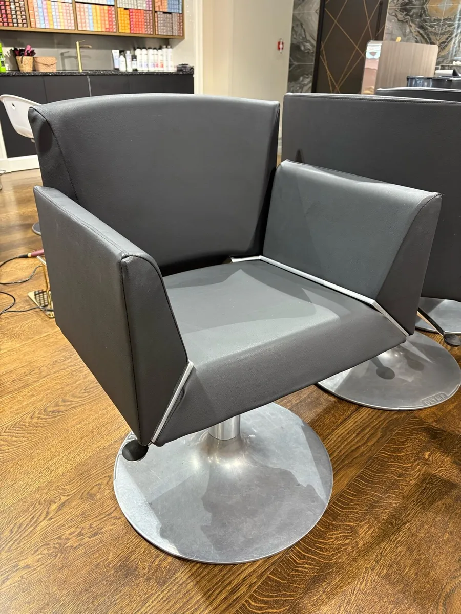 Salon chairs - Image 4