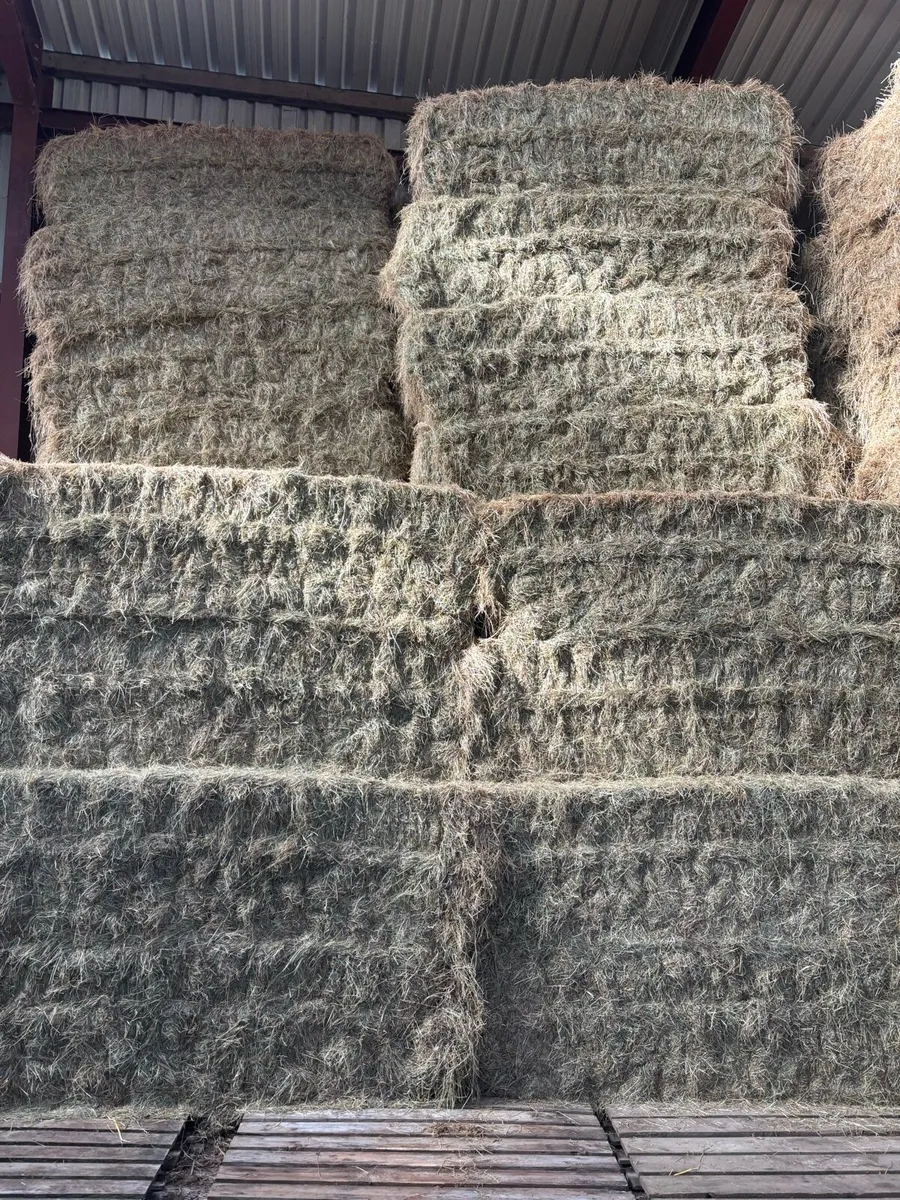 2025  hay and straw  delivered - Image 2