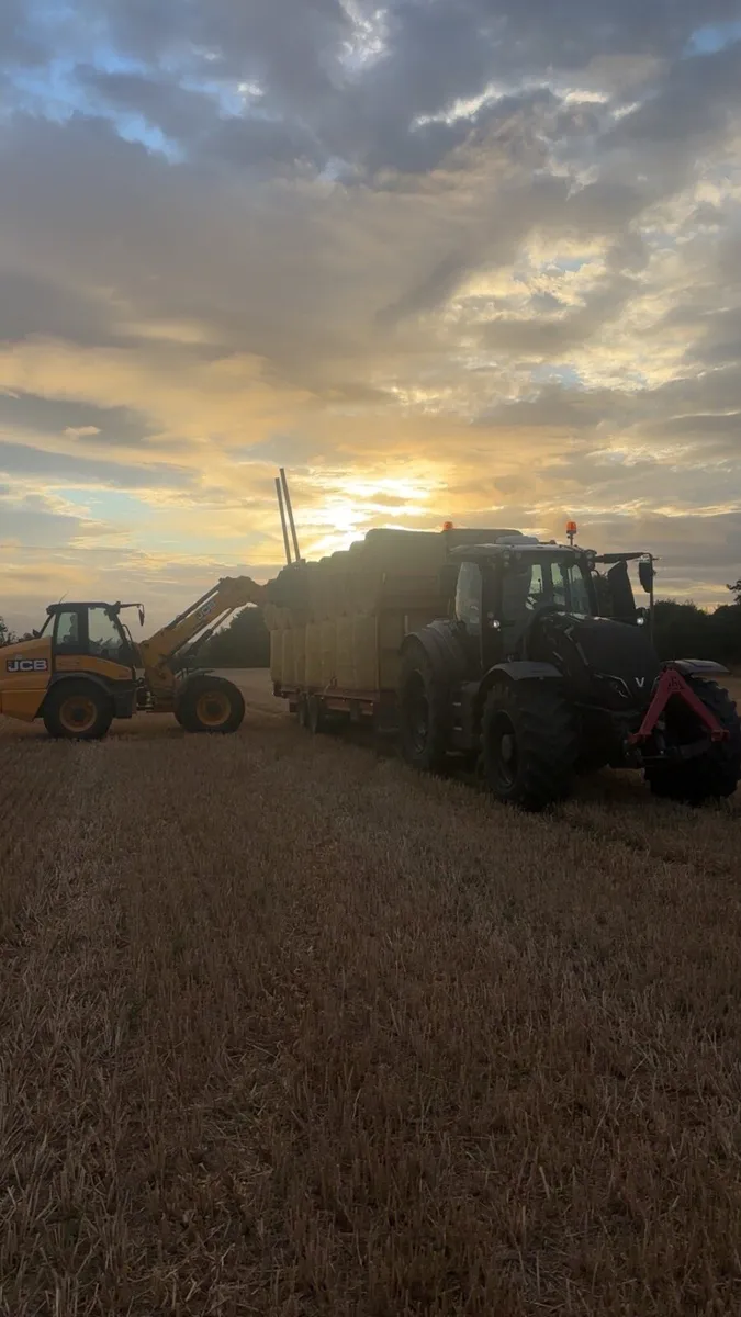 2025  hay and straw  delivered - Image 1