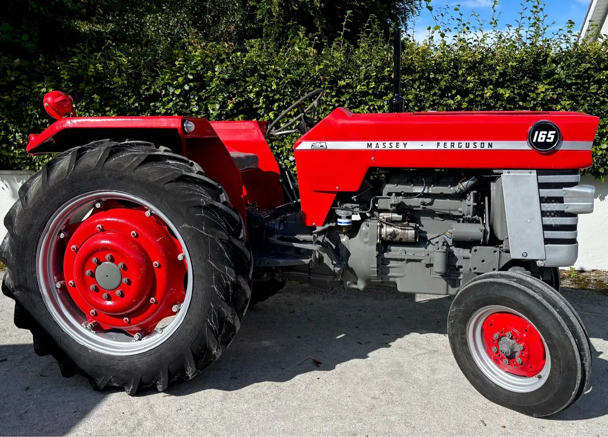 MASSEY FERGUSON 165 **One Irish owner** - Image 3