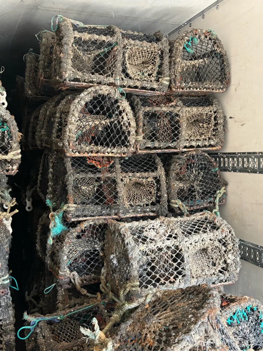 Lobster pots - Image 1