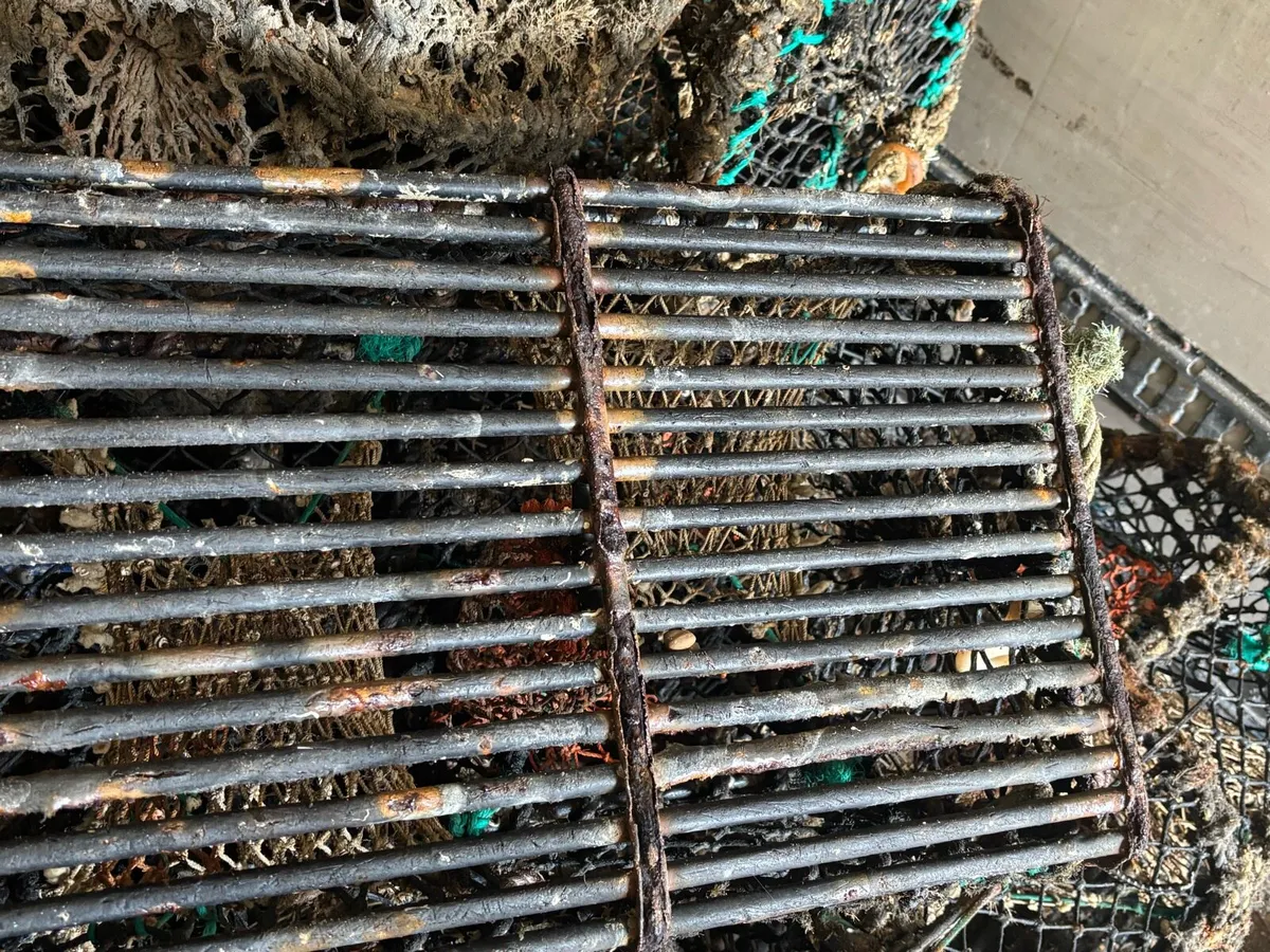 Lobster pots - Image 2