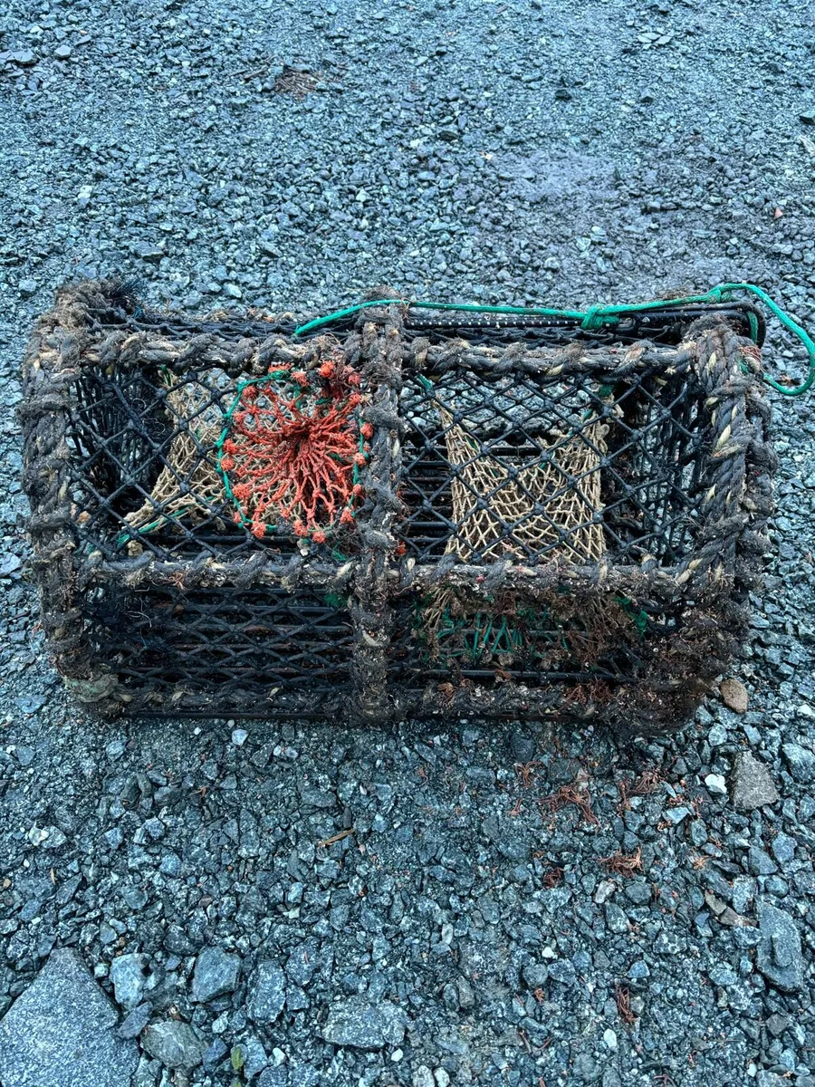Lobster pots - Image 4