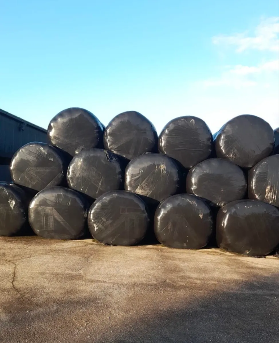 Top Quality Haylage, - Image 1