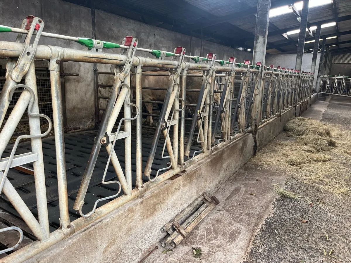 Extendable, gates and barriers - Image 3