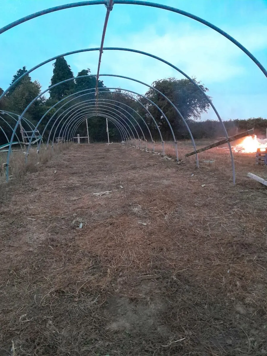 Polly tunnell frames - Image 1