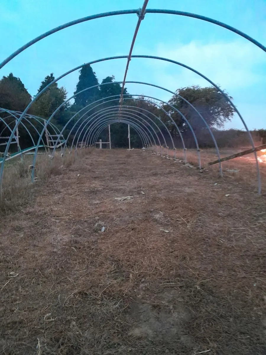 Polly tunnell frames - Image 2