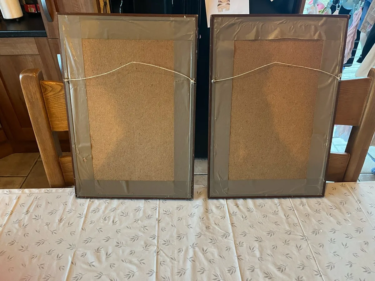 Guinness Pictures - Image 2