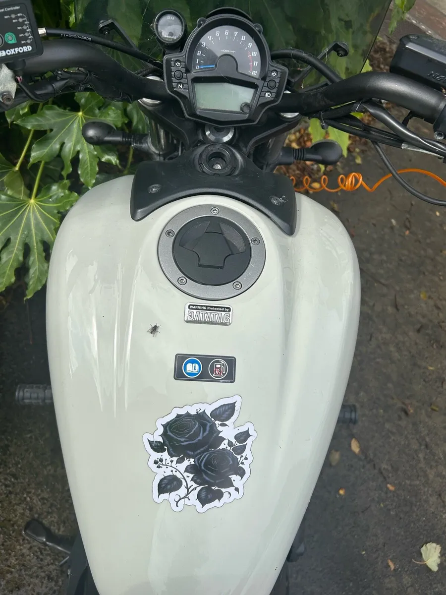 Kawasaki Vulcan 650 - Image 4