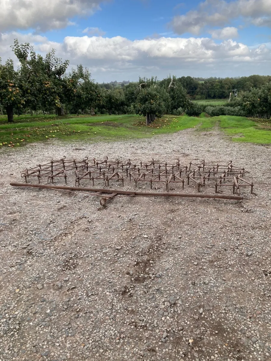 Pin harrow - Image 3