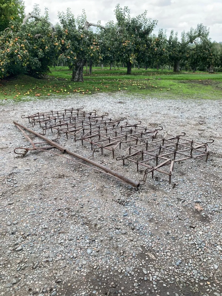 Pin harrow - Image 1
