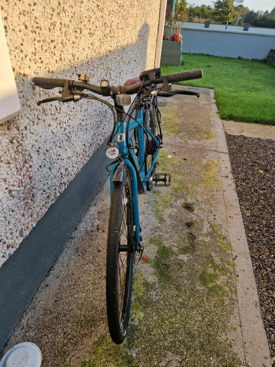 Lectro Townmaster E-bike - Image 4