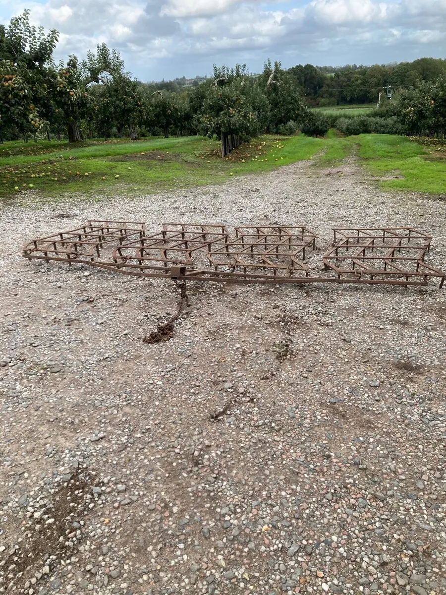 Pin harrow - Image 2