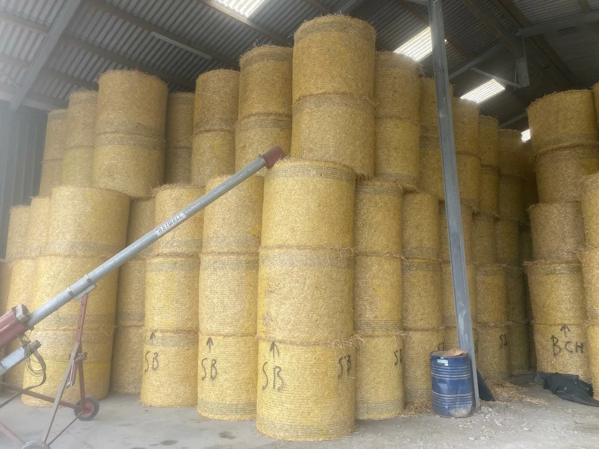 Straw bales, Hay, Beet - Image 2