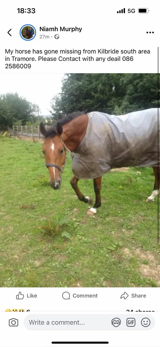 Stolen Horse - Image 1