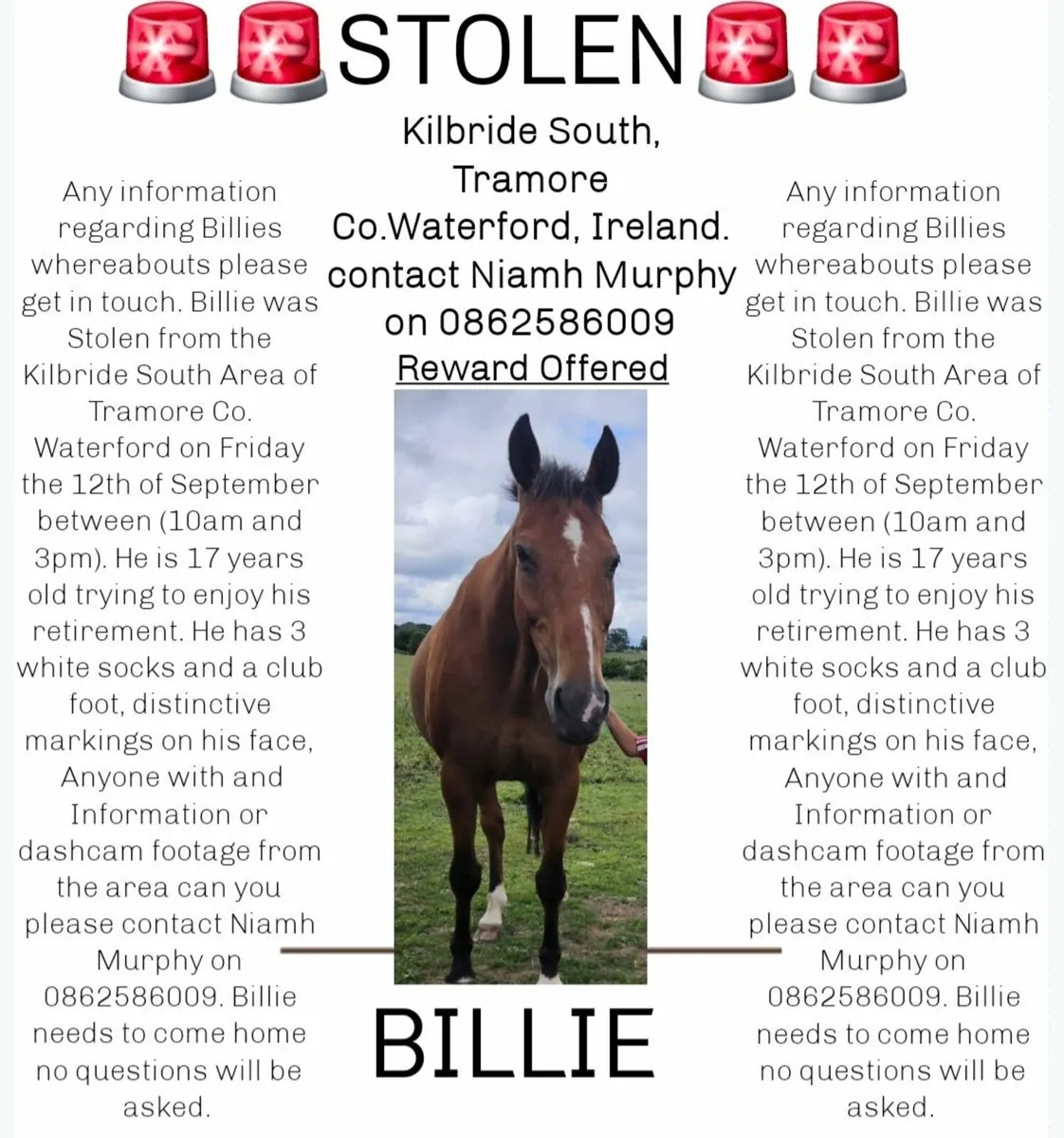 Stolen Horse - Image 3