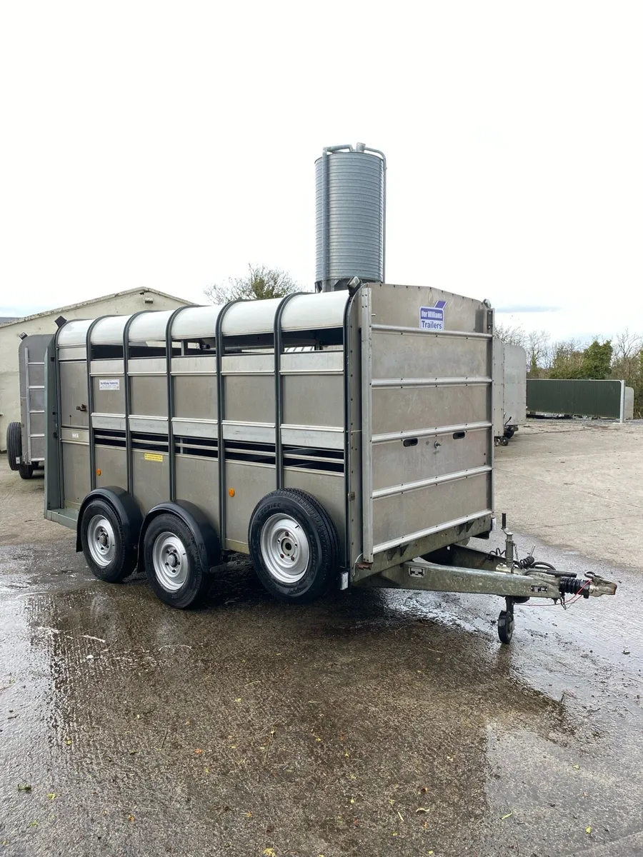 Ifor Williams Sheep Trailer - Image 1