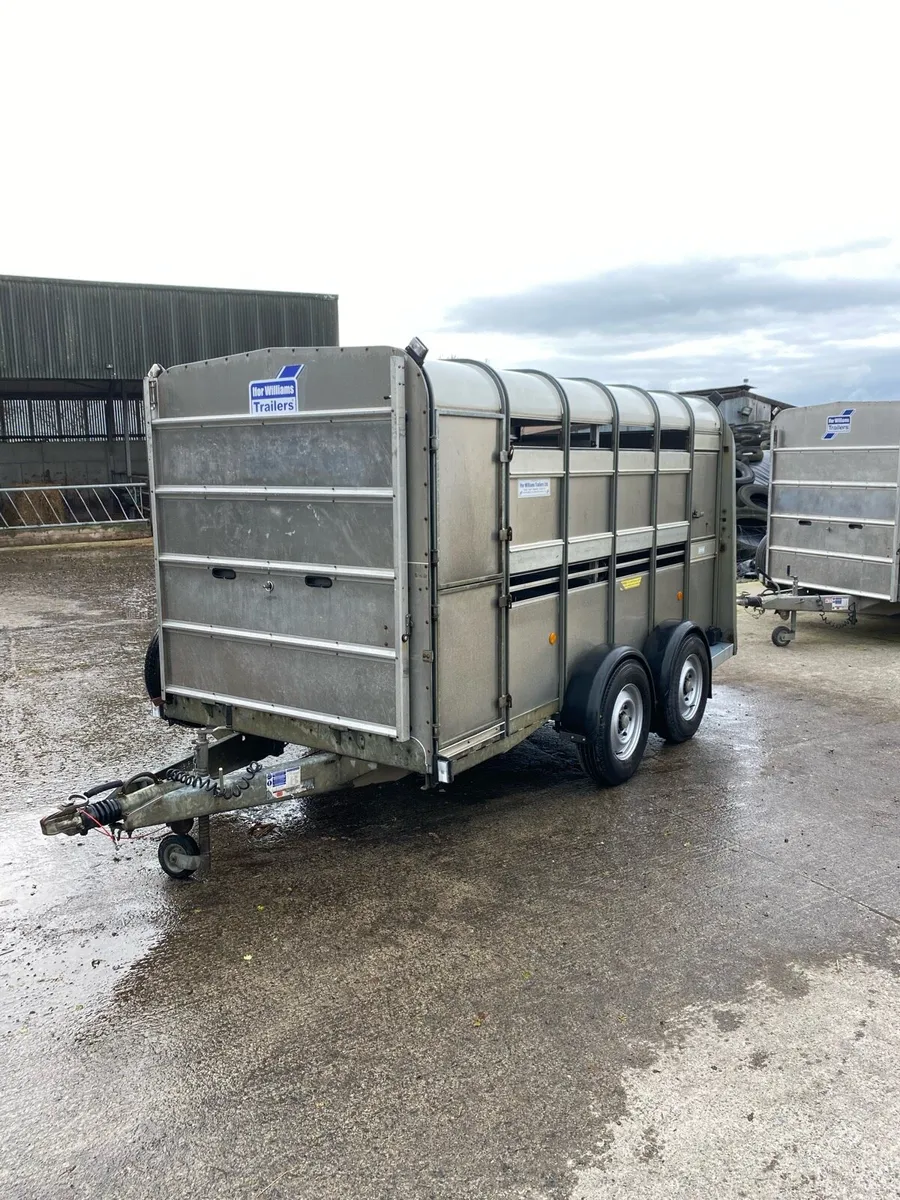 Ifor Williams Sheep Trailer - Image 2
