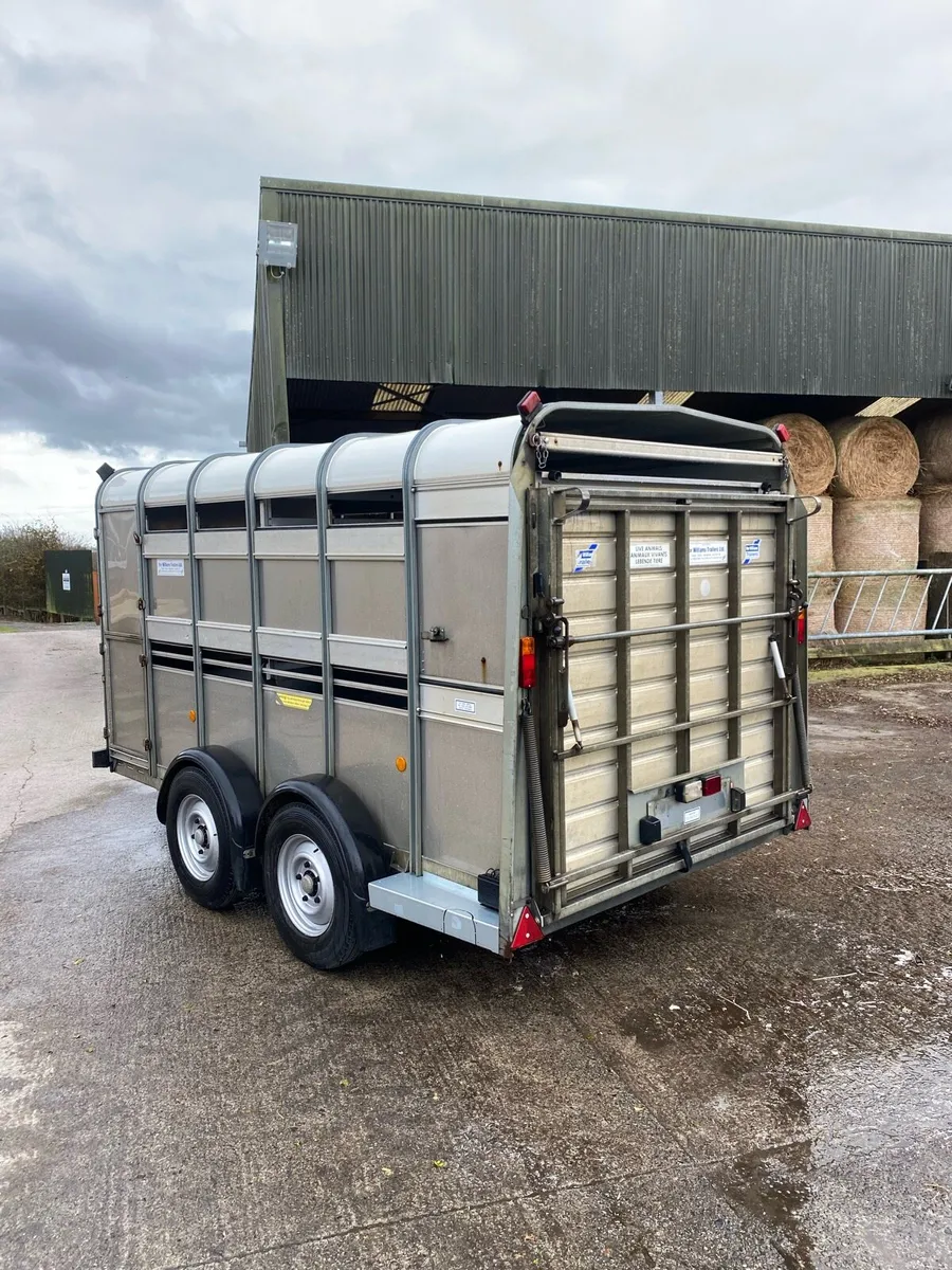 Ifor Williams Sheep Trailer - Image 3